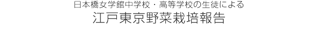 日本橋女学館中学校・高等学校の生徒による江戸東京野菜栽培報告
